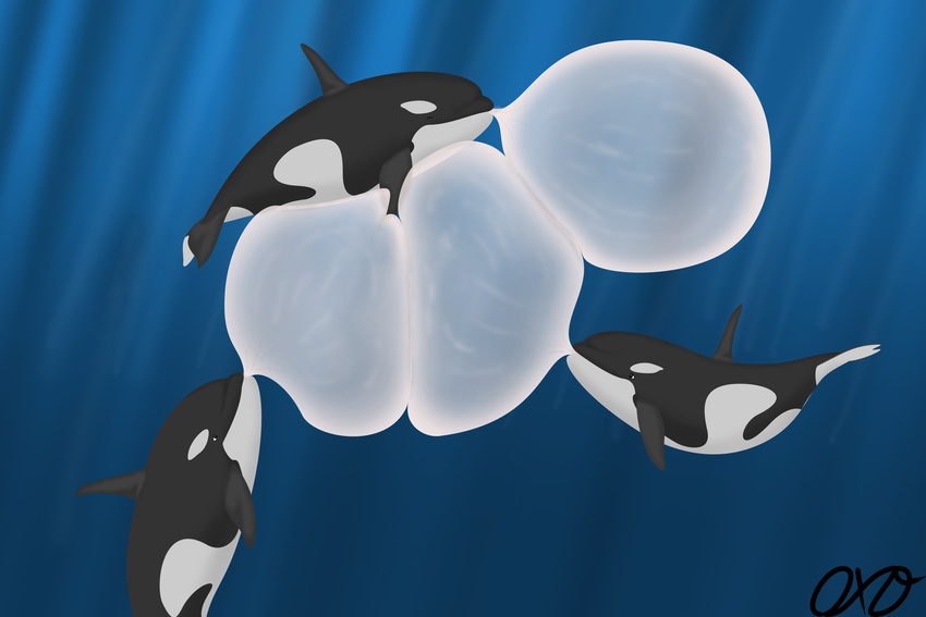 bubble bubble_gum cetacean mammal marine orca orcaxdragon whale