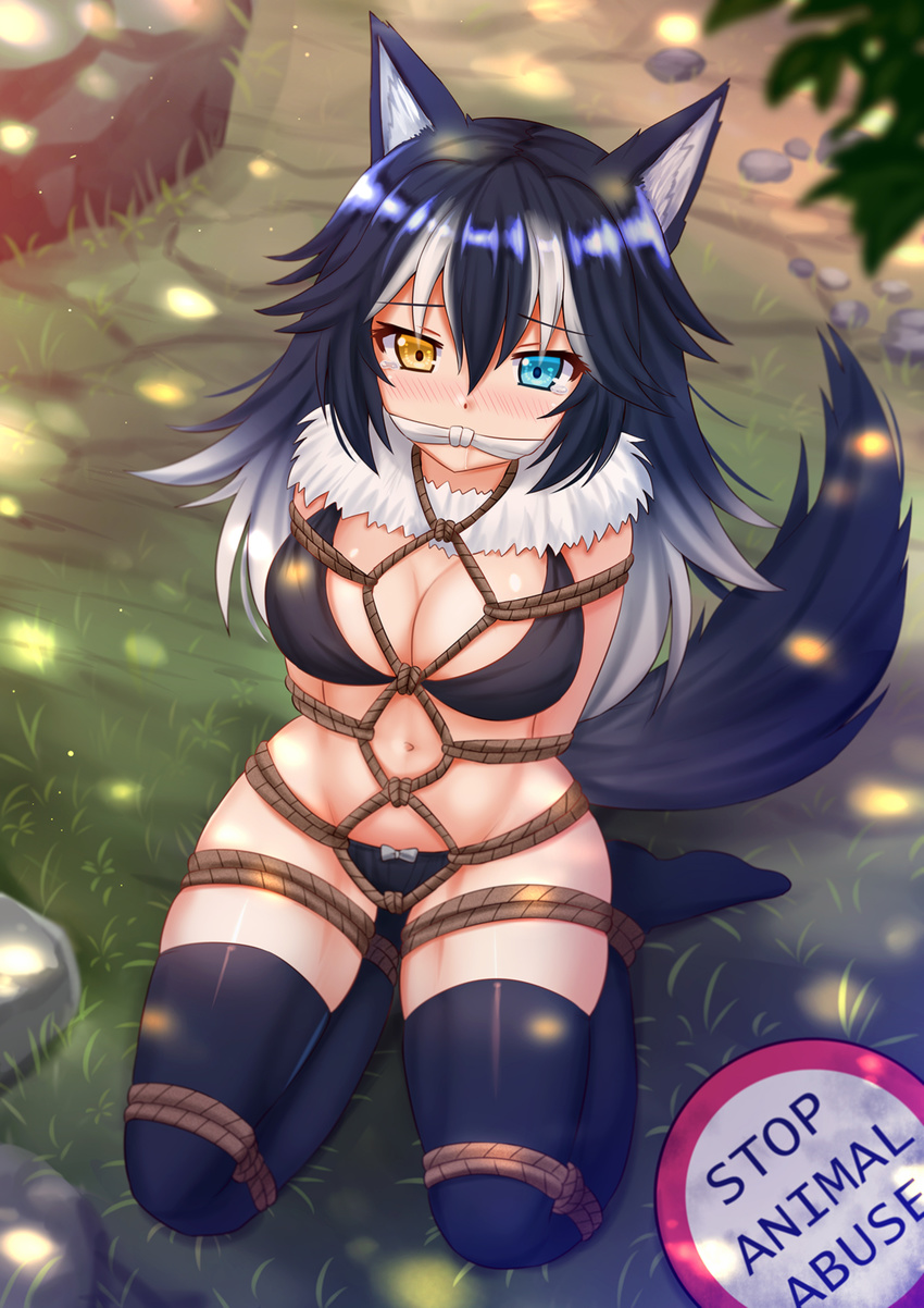 animal_ears arms_behind_back bdsm black_bra black_hair black_legwear black_panties blue_eyes blush bondage bound bound_arms bound_legs bra breasts cleavage cleave_gag cloth_gag day fur_collar gag gagged grey_wolf_(kemono_friends) heterochromia highres improvised_gag karada kazenokaze kemono_friends knot_gag large_breasts long_hair looking_at_viewer multicolored_hair navel on_ground outdoors panties saliva shibari shibari_over_clothes solo tail thighhighs two-tone_hair underwear wolf_ears wolf_tail yellow_eyes