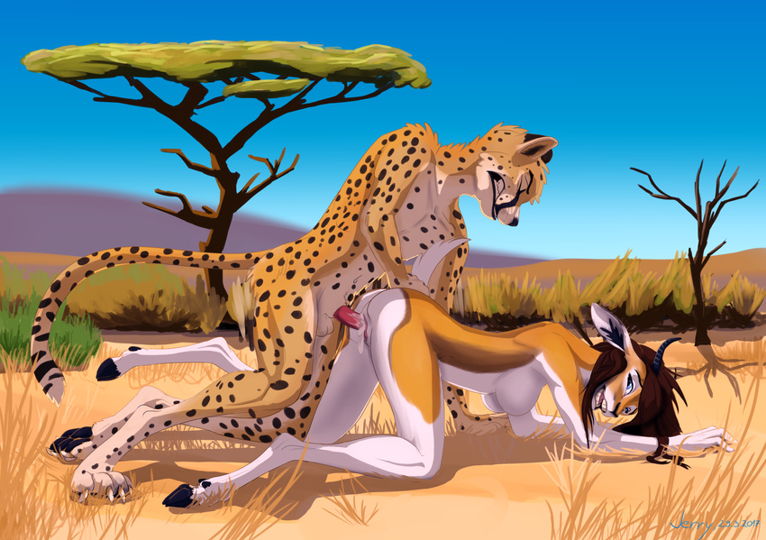 achoo antelope cheetah cum cum_in_pussy cum_inside cum_on_penis day feline gazelle mammal penetration penis savanna sex tagme thompson's_gazelle vaginal vaginal_penetration