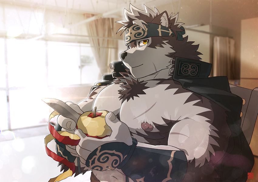 2017 abs anthro apple biceps canine chest_tuft food fruit fur headband horkeukamui male mammal multicolored_fur muscular muscular_male nipples pecs penis rossciaco simple_background solo tokyo_afterschool_summoners tuft white_fur wolf