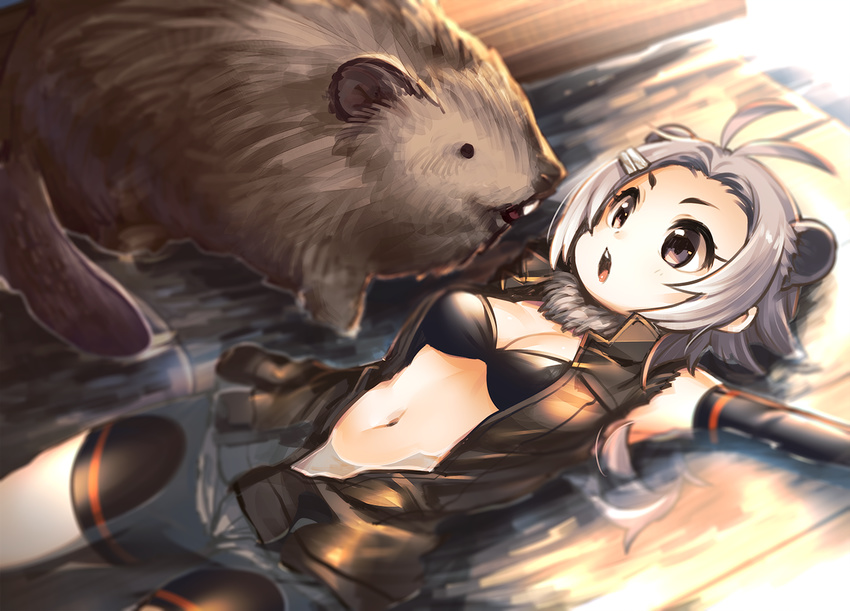 :o american_beaver_(kemono_friends) animal animal_ears antenna_hair bare_shoulders beaver beaver_ears beaver_tail bike_shorts bikini_top black_bra bra breasts buck_teeth chestnut_mouth cleavage elbow_gloves fur_collar gloves gradient grey_eyes grey_hair hair_ornament hairclip indoors jacket kaida_michi kemono_friends looking_at_another lying medium_breasts midriff navel on_back on_floor open_clothes open_mouth partially_submerged shorts sleeveless solid_circle_eyes tail tareme teeth torn_clothes underwear water wooden_floor wooden_wall