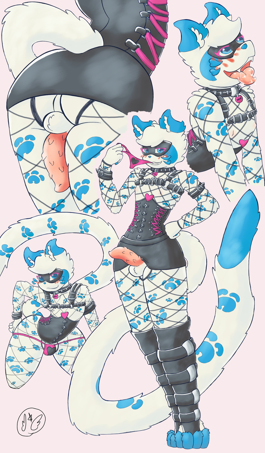 animal_genitalia animal_penis balls bent_over clothing collar crema_sugarpaws feline feline_penis fishnet girly jaguar legwear male mammal open_mouth panties penis rubber skirt solo thigh_highs underwear