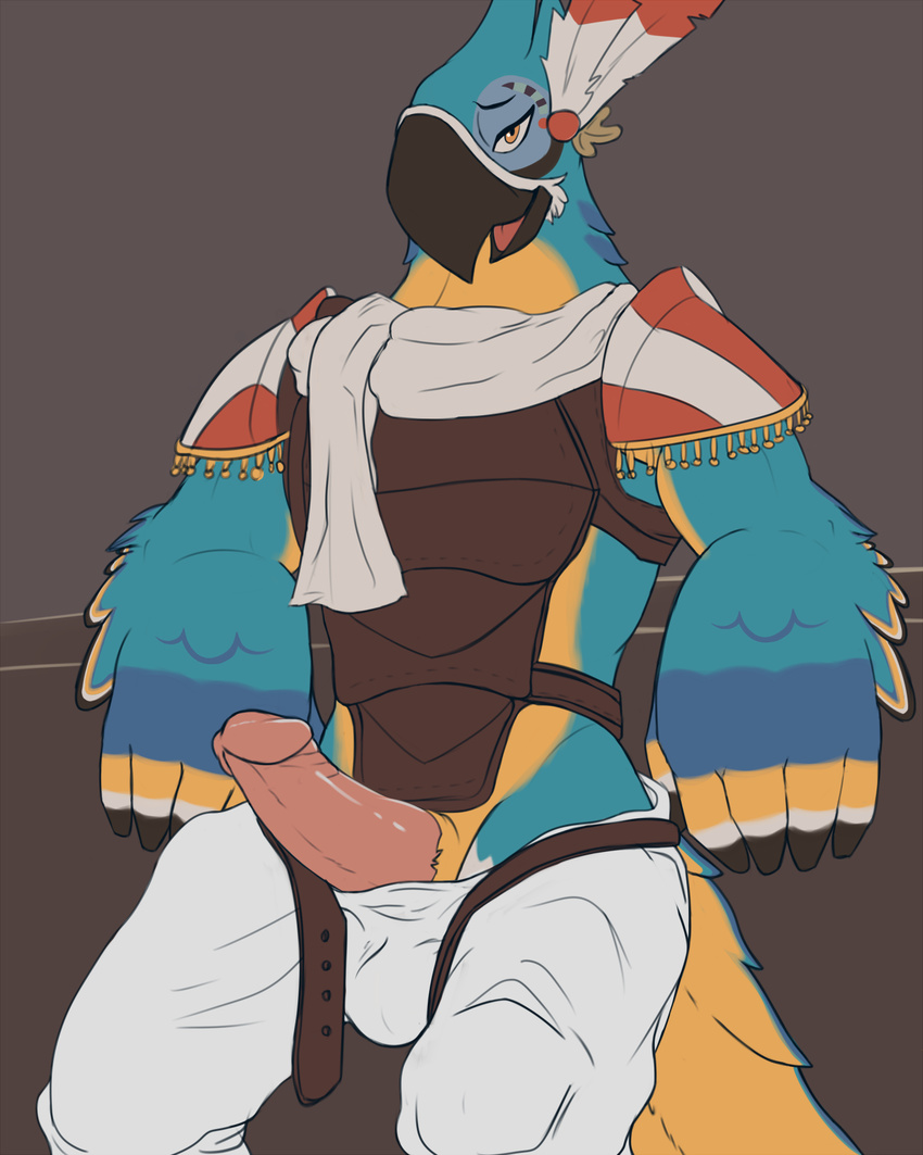 2017 anthro arm_support armlets armor avian balls beak belt biceps bird blue_feathers blue_skin blue_tail breath_of_the_wild bulge clothed clothing erection feathers front_view half-closed_eyes kass_(zelda) looking_at_viewer male multicolored_skin multicolored_tail nintendo open_mouth open_pants orange_eyes pants penis pink_penis pose rito solo ssssnowy standing tan_feathers tan_skin tan_tail the_legend_of_zelda tongue video_games