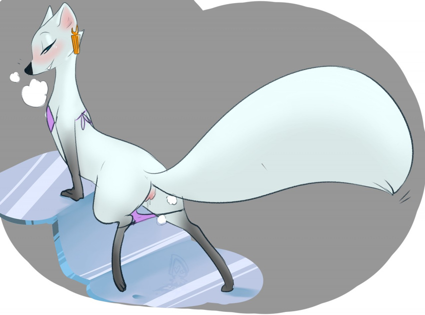 anthro arctic_fox arctic_fox_masseuse_(zootopia) bedroom_eyes bikini blush butt canine clothing disney ear_piercing female fox fur gloves_(marking) half-closed_eyes in_heat looking_at_viewer looking_back mammal mangoicy markings panties panties_down piercing presenting presenting_hindquarters pussy pussy_juice seductive socks_(marking) solo swimsuit underwear white_fur zootopia