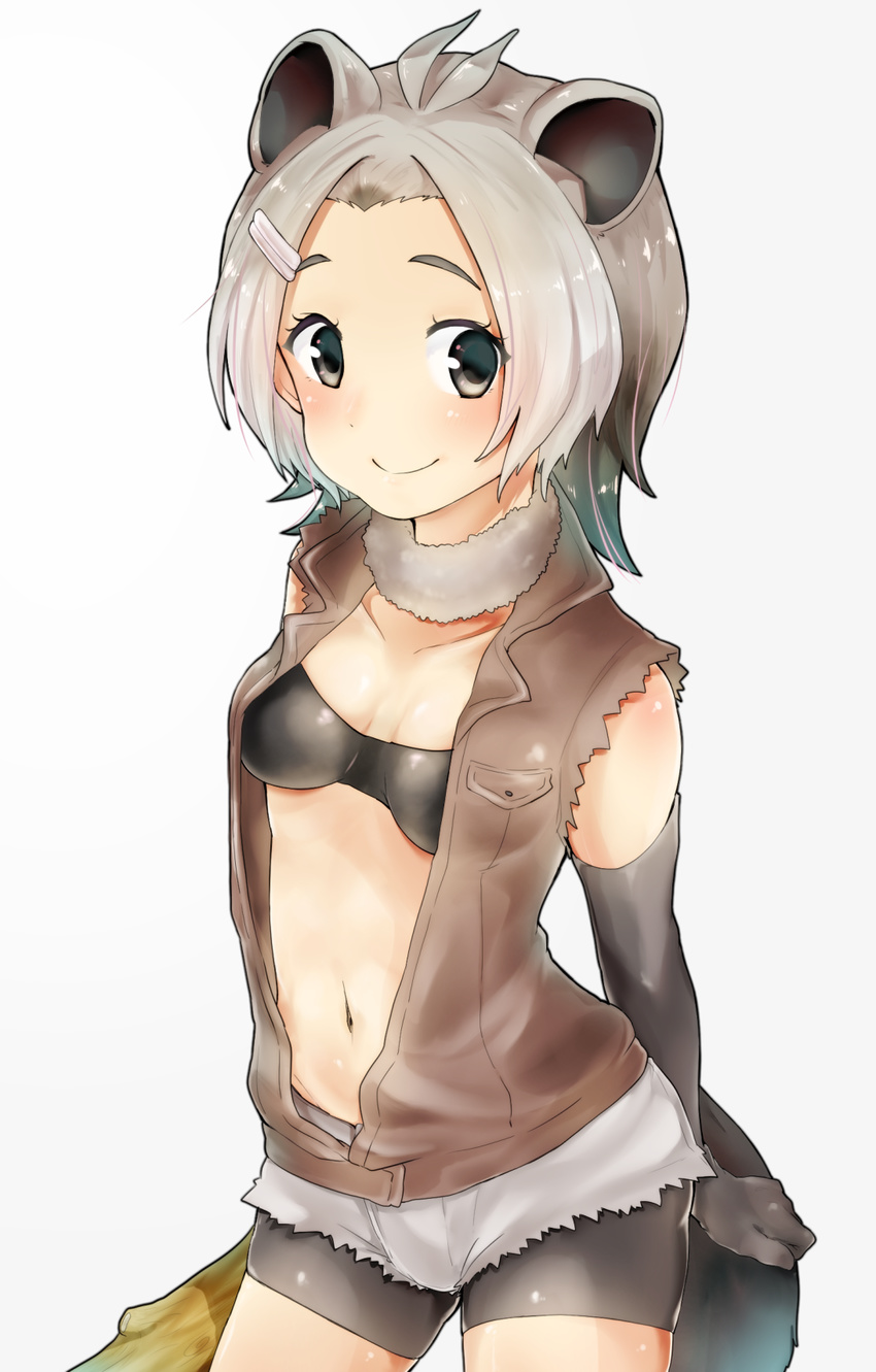 american_beaver_(kemono_friends) animal_ears antenna_hair bangs_pinned_back bare_shoulders beaver_ears beaver_tail bike_shorts bikini_top blush breasts cleavage closed_mouth collarbone elbow_gloves fur_collar gloves gradient_hair green_eyes grey_hair hair_ornament hairclip highres jacket kemono_friends log looking_at_viewer minoco_(sana_moko) multicolored_hair navel open_clothes open_jacket short_hair shorts simple_background small_breasts smile solo stomach tail torn_clothes torn_shorts torn_sleeves white_background wood