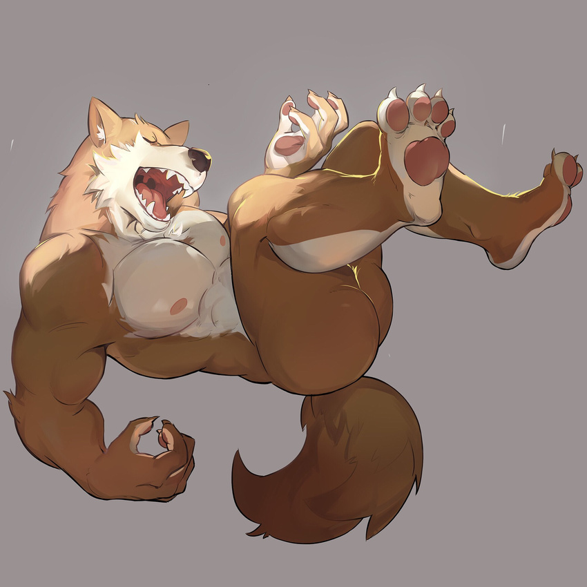 4_fingers 4_toes abs anthro barefoot biceps big_muscles brown_fur brown_nose butt canine claws eyes_closed fangs fur grey_background jimyangsheep male mammal muscular muscular_male nipples nude open_mouth pecs side_view simple_background solo tan_fur teeth toe_claws toes tongue uvula white_fur