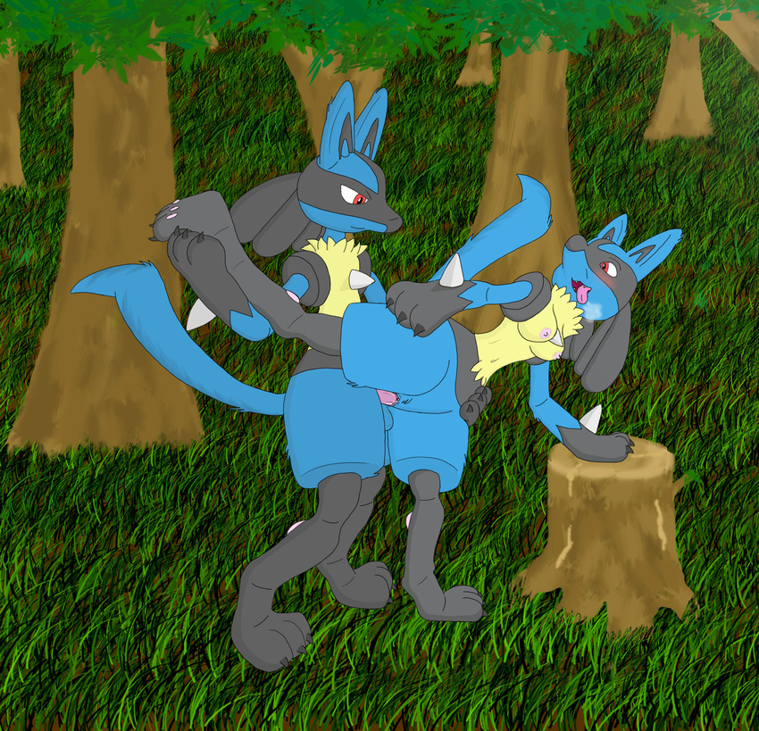 3_fingers 3_toes anthro anthro_on_anthro balls blue_fur blush breasts breath claws duo erection fangs female fur grass leg_glider_position legs_up lucario male male/female mammal multicolored_fur nintendo nipples outside penetration penis pok&eacute;mon raised_leg red_eyes sex toes tongue tongue_out tree unknown_artist vaginal vaginal_penetration video_games wood yellow_fur