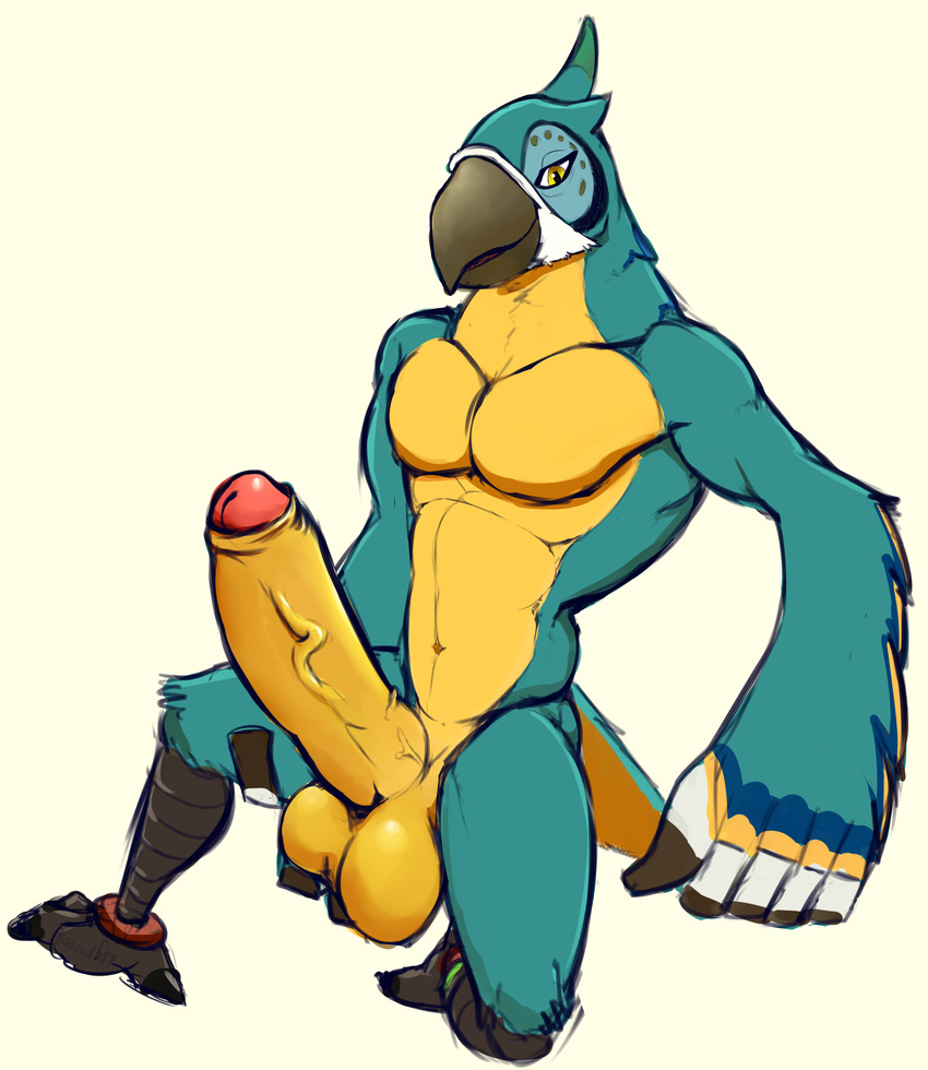 5_fingers anthro armpits avian balls beak big_balls big_penis biped bird blue_feathers blue_tail breath_of_the_wild crest erection feathers huge_penis humanoid_penis kass_(zelda) koorivlf looking_at_viewer macaw male multicolored_feathers multicolored_penis muscular muscular_male navel nintendo nude parrot pecs penis pink_penis pose rito seductive simple_background sketch smile solo tail_feathers teasing the_legend_of_zelda two_tone_penis two_tone_tail uncut vein veiny_penis video_games white_background yellow_balls yellow_countershading yellow_feathers yellow_penis yellow_tail