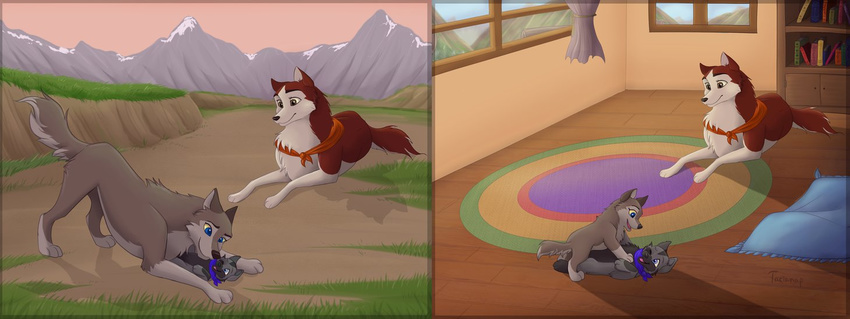 adoption aleu alternate_realities balto_(film) bandanna brother canine cub dog female feral husky hybrid jenna_(balto) little_ronak_(wolf_form) male mammal mother nuzzling parent sibling sister tacianap tickling wolf young