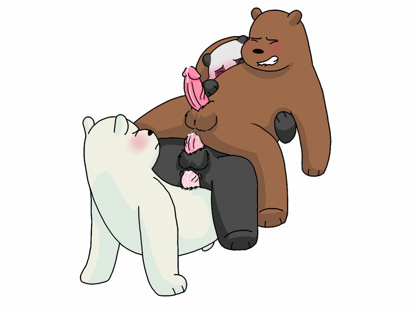 anal anal_penetration bear blush cartoon_network cowgirl_position cum from_behind_(disambiguation) grizzly_(character) grizzly_bear group group_sex ice_bear male male/male mammal on_top panda panda_(character) penetration penis polar_bear sex simple_background somcrule threesome we_bare_bears white_background