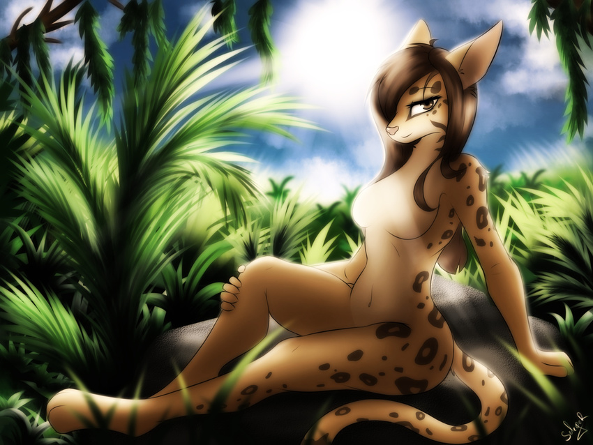 5_fingers anthro breasts brown_eyes brown_hair day detailed_background digitigrade eyelashes featureless_breasts featureless_crotch feline female fur hair mammal navel ocelot outside seleeger sitting sky smile solo spots spotted_fur sun