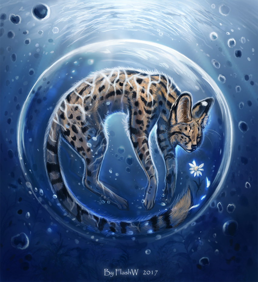 2017 ambiguous_gender bubble eyes_closed feline flashw fur mammal paws serval solo spots spotted_fur underwater water