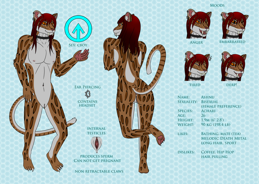 2017 achari anthro ashnu ashnurazg blush brown_fur clitoris collar cuntboy ear_piercing english_text fangs feline fur genital_piercing hair hybrid intersex mammal model_sheet navel navel_piercing nipples nude open_mouth orange_eyes piercing pink_nose pussy red_hair saber-toothed_cat sabertooth_(disambiguation) simple_background text