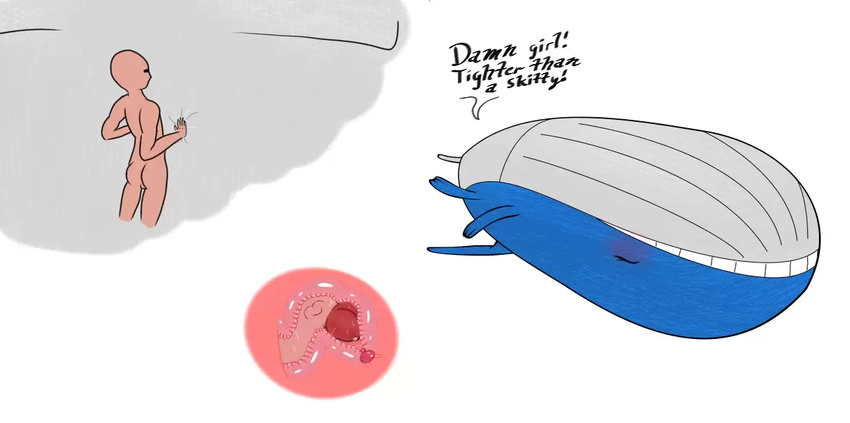 bestiality cetacean female feral human human_on_feral interspecies larger_female male male/female mammal marine nintendo penetration pok&eacute;mon pok&eacute;philia size_difference source_request unknown_artist vaginal vaginal_penetration video_games wailord whale