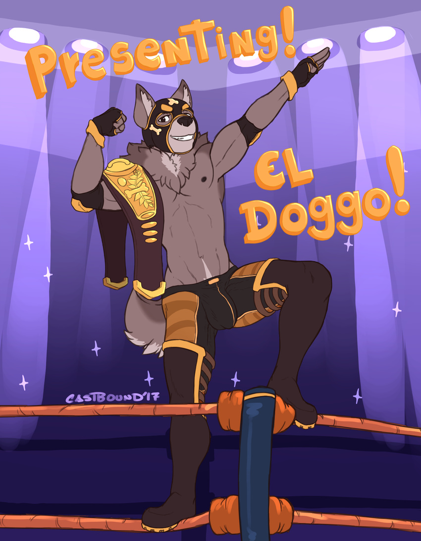 anthro armpits belt brown_eyes bulge canine castbound clothed clothing dog elbow_pads english_text fingerless_gloves flexing gloves grin looking_at_viewer male mammal muscular neck_tuft pecs pose smile solo spanish_text text tuft wrestler wrestling_belt
