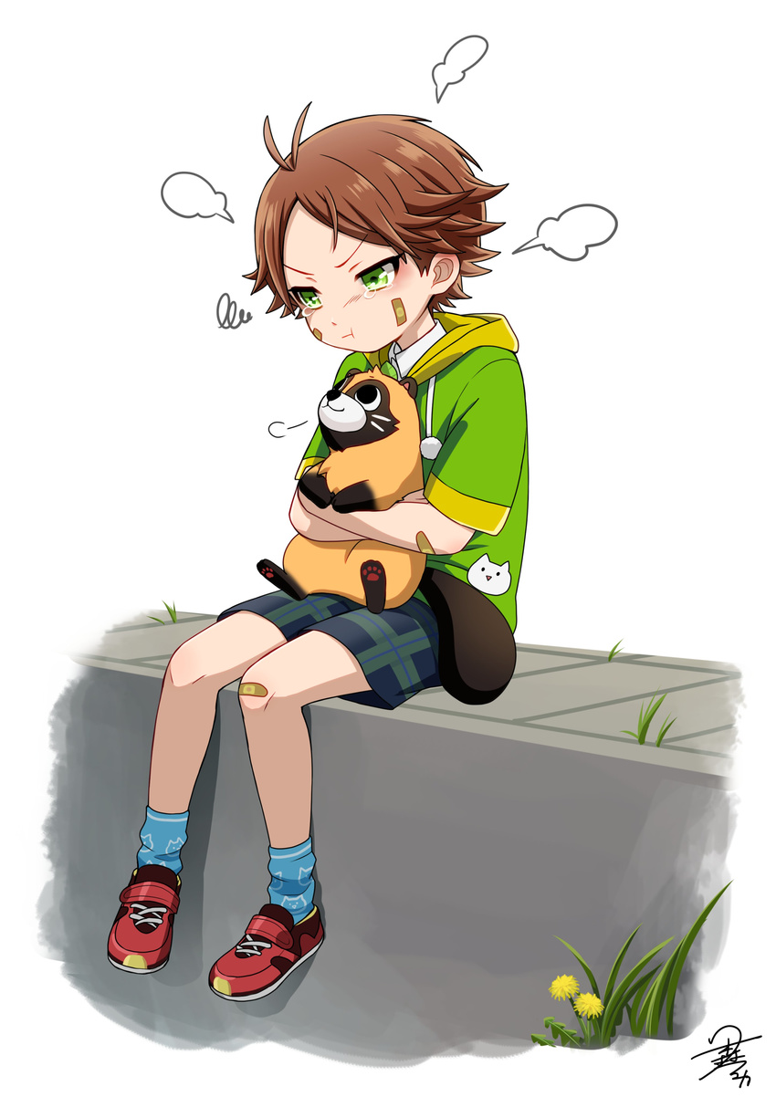 :t absurdres animal antenna_hair bandaid bandaid_on_face bandaid_on_knee blue_legwear brown_hair child crying crying_with_eyes_open dandelion flower foot_dangle full_body green_eyes highres holding holding_animal hood hoodie leaf looking_at_another looking_down looking_up male_focus niconico plant pout red_footwear shoes short_sleeves shorts signature sitting sneakers socks solo squiggle tanuki tearing_up tears tsukimori_fuyuka urata v-shaped_eyebrows yamadanuki