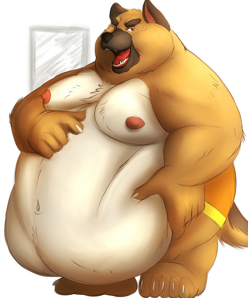 belly belly_overhang big_belly canine clothed clothing dog galvinwolf jockstrap love_handle male mammal moobs morbidly_obese obese overweight solo topless underwear