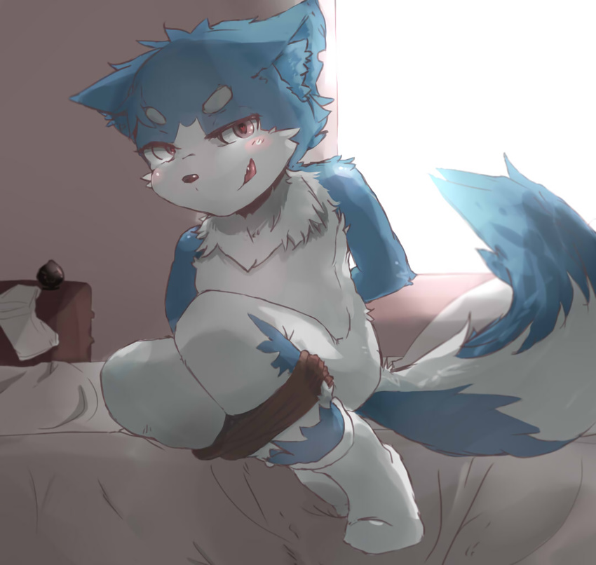 anthro bed blue_fur blush bound canine clothing cub dog fur legwear male mammal neck_tuft nekowuwu nude open_mouth red_eyes sitting socks solo tuft white_fur young