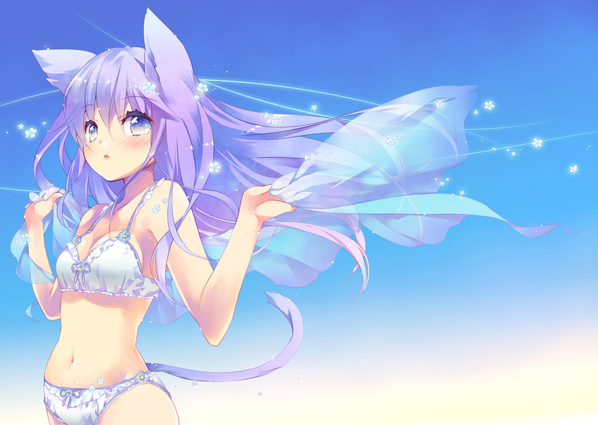 animal_ears bangs blue_bow blue_eyes blue_sky blush bow bow_bra bow_panties bra breasts cat_ears cat_girl cat_tail cleavage ech eyebrows_visible_through_hair floating_hair frilled_bra frills hair_between_eyes hair_flaps hands_up holding long_hair looking_at_viewer medium_breasts navel original outdoors panties parted_lips purple_hair see-through sky solo tail underwear underwear_only upper_body white_bra white_panties wind