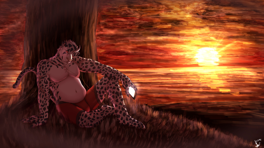 anthro belly big_belly bulge clothed clothing dingding_(artist) feline headphones looking_at_viewer male mammal outside sitting smile solo topless