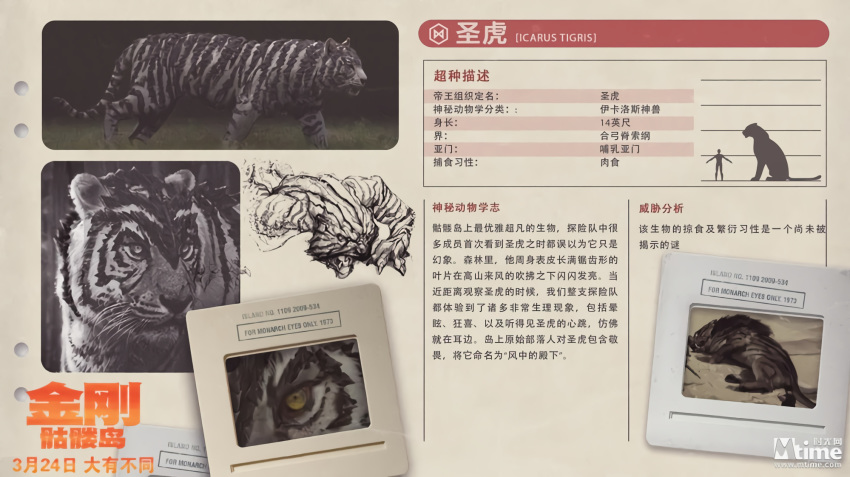 animal character_profile conspiracy diagram godzilla_(series) icarus_tiger king_kong_(series) kong:_skull_island legendary_pictures monarch monster monsterverse official_art plant promotional_art report science sketch tiger translation_request viral_marketing white_tiger