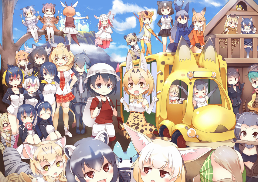 &gt;:) :d :o ;) ;d ^_^ ^o^ african_wild_dog_(kemono_friends) african_wild_dog_print alpaca_ears alpaca_suri_(kemono_friends) american_beaver_(kemono_friends) animal_ears animal_print antlers arms_up backpack bag balcony bangs bare_shoulders bear_ears bear_paw_hammer beaver_ears beige_vest belt bike_shorts bird_tail bird_wings bite_mark black-tailed_prairie_dog_(kemono_friends) black_belt black_bow black_bra black_gloves black_hair black_legwear black_neckwear black_skirt blonde_hair blue_coat blue_eyes blue_hair blue_jacket blue_skirt blue_sky blue_sweater blunt_bangs blush blush_stickers boots bow bowtie bra breast_pocket breasts brown_bear_(kemono_friends) brown_bow brown_coat brown_eyes brown_hair brown_legwear brown_neckwear brown_vest building buttons campo_flicker_(kemono_friends) cat_ears circlet clenched_hand clenched_hands closed_eyes closed_mouth cloud coat collarbone collared_shirt commentary common_raccoon_(kemono_friends) cross-laced_footwear cup day dog_ears drooling eating eighth_note elbow_gloves emperor_penguin_(kemono_friends) eurasian_eagle_owl_(kemono_friends) everyone expressionless eyebrows_visible_through_hair ezo_red_fox_(kemono_friends) face facing_away feathers fennec_(kemono_friends) flying folded_ponytail food fork fox_ears from_side frown fur_collar fur_trim gazelle_ears gazelle_horns gazelle_tail gentoo_penguin_(kemono_friends) giraffe_ears giraffe_horns giraffe_print giraffe_tail glasses gloves golden_snub-nosed_monkey_(kemono_friends) gradient_ribbon grass green_hair green_skirt grey_coat grey_gloves grey_hair grey_legwear grey_neckwear grey_shirt grey_shorts grey_skirt grey_wolf_(kemono_friends) hair_between_eyes hair_ornament hair_over_one_eye hairclip hand_in_pocket hand_on_hip hands_up happy hat head_wings headlight headphones helmet heterochromia high-waist_skirt highres hippopotamus_(kemono_friends) hippopotamus_ears holding holding_bag holding_cup holding_food holding_fork holding_pencil holding_spoon holding_staff hood hood_down hood_up horns humboldt_penguin_(kemono_friends) in_tree jacket jaguar_(kemono_friends) jaguar_ears japanese_crested_ibis_(kemono_friends) japari_bun japari_bus japari_symbol jitome kaban_(kemono_friends) kanzakietc kemono_friends knee_boots knees_up lace-up_boots leotard lion_(kemono_friends) lion_ears lion_tail long_hair long_ponytail long_sleeves looking_at_another looking_at_viewer looking_to_the_side lucky_beast_(kemono_friends) margay_(kemono_friends) margay_print mary_janes medium_breasts monkey_ears monkey_tail moose_(kemono_friends) moose_ears mouth_hold multicolored multicolored_clothes multicolored_gloves multicolored_hair multiple_girls music musical_note neck_ribbon necktie northern_white-faced_owl_(kemono_friends) nose_blush one-piece_swimsuit one_eye_closed open_clothes open_mouth open_vest orange_eyes orange_hair orange_jacket orange_legwear orange_neckwear otter_ears outdoors outstretched_arms pantyhose pencil pince-nez pink_eyes pink_footwear pith_helmet plaid plaid_neckwear plaid_skirt plains_zebra_(kemono_friends) pocket poking ponytail prairie_dog_tail print_bow print_neckwear print_skirt raccoon_ears railing raised_eyebrow red_coat red_eyes red_hair red_legwear red_neckwear red_ribbon red_shirt red_skirt reticulated_giraffe_(kemono_friends) ribbon rockhopper_penguin_(kemono_friends) royal_penguin_(kemono_friends) saliva sand_cat_(kemono_friends) sandstar savanna_striped_giant_slug_(kemono_friends) seiza serval_(kemono_friends) serval_ears serval_print serval_tail shiny shiny_hair shirt shoebill_(kemono_friends) shoes short_hair short_sleeves shorts silver_fox_(kemono_friends) singing sitting sitting_in_tree skirt sky sleeveless sleeveless_shirt slug small-clawed_otter_(kemono_friends) small_breasts smile snake_tail spoon staff standing stick streaked_hair striped_tail sweatdrop sweater swimsuit tail teacup thighhighs thomson's_gazelle_(kemono_friends) thumbs_up tree tsuchinoko_(kemono_friends) two-tone_hair underwear unzipped upper_body upside-down v-shaped_eyebrows vest volcano waving wavy_mouth wetsuit white_bow white_coat white_footwear white_gloves white_hair white_legwear white_leotard white_neckwear white_shirt white_shorts wings wolf_ears wolf_tail yellow_eyes yellow_footwear yellow_legwear zebra_ears zebra_print zettai_ryouiki