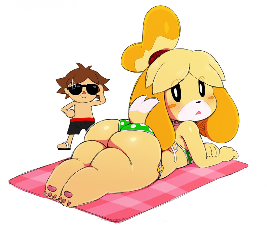 animal_crossing anthro beady_eyes big_butt bikini blush butt canine clothing cute digital_media_(artwork) dog duo eyewear female hairband isabelle_(animal_crossing) lying male mammal nintendo on_front open_mouth pawpads paws shih_tzu short_stack simple_background slightly_chubby sssonic2 sunglasses swimsuit thick_thighs video_games villager_(animal_crossing) wide_hips