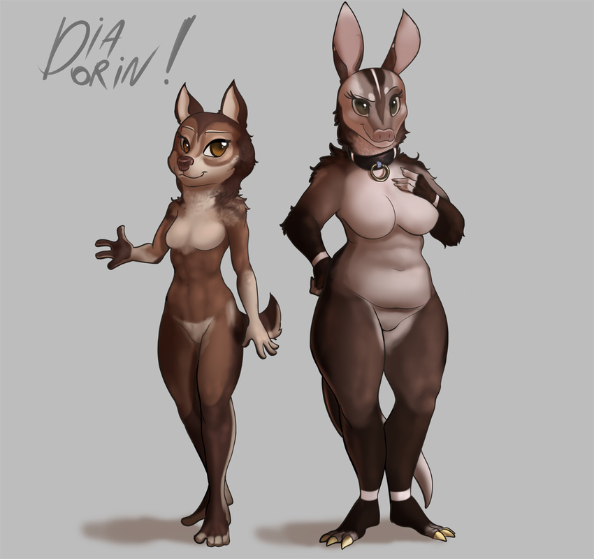 aardvark anthro badger breasts canine chibi collar diadorin duo featureless_breasts female looking_at_viewer mammal mustelid navel nude slightly_chubby smile standing