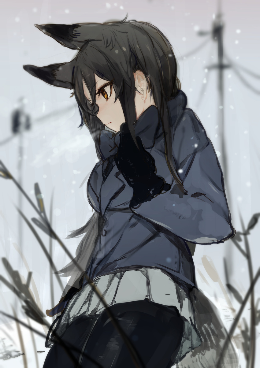 absurdres animal_ears black_gloves black_legwear black_neckwear blue_bow blue_jacket blurry blurry_background bow closed_mouth cloud cloudy_sky commentary cowboy_shot day depth_of_field extra_ears fox_ears fox_tail from_side gloves grass grey_hair grey_skirt grey_sky highres hiranko jacket kemono_friends long_hair long_sleeves necktie orange_eyes outdoors pantyhose pleated_skirt power_lines profile silver_fox_(kemono_friends) skirt sky snow snowing solo standing tail telephone_pole