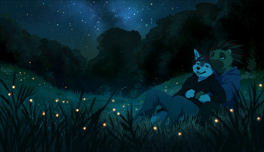 akitamonster anthro blakc_nose canine clothed clothing detailed_background dog duo grass hoodie male mammal night open_mouth outside porcupine rodent sitting sky smile star starry_sky teeth