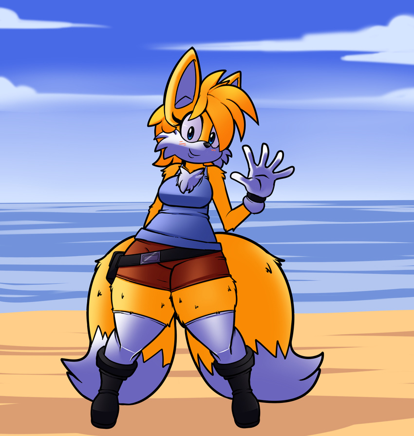 canine cute denizen1414 dreamcastzx1 fem_tails female fox huge_thighs mammal sonic_(series)