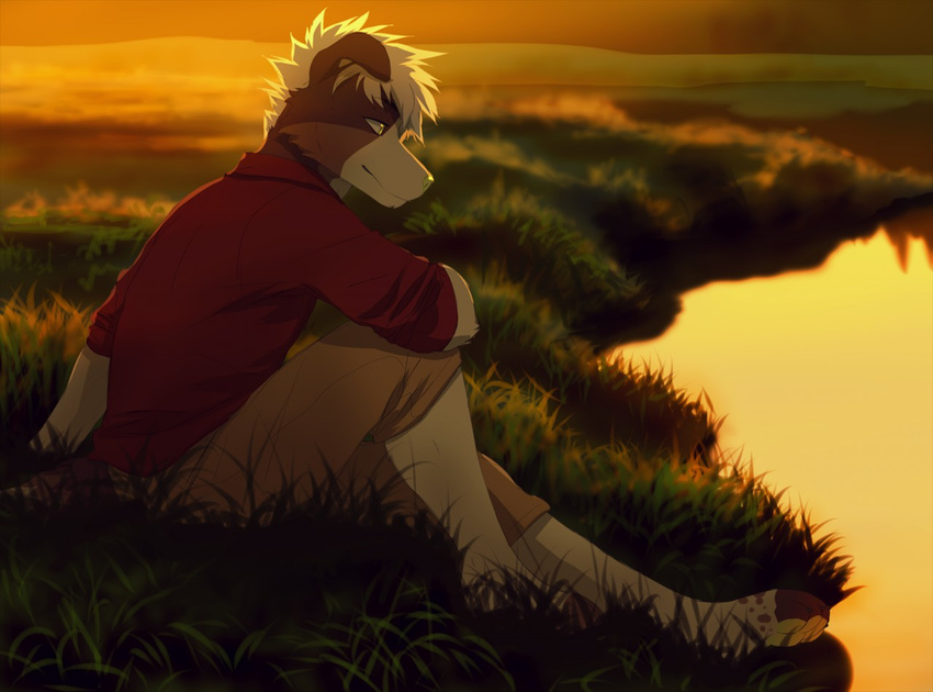 akitamonster ambiguous_gender anthro barefoot brown_fur canine clothed clothing day digitigrade dog fur grass hair mammal outside pale_eyes sitting smile water white_hair