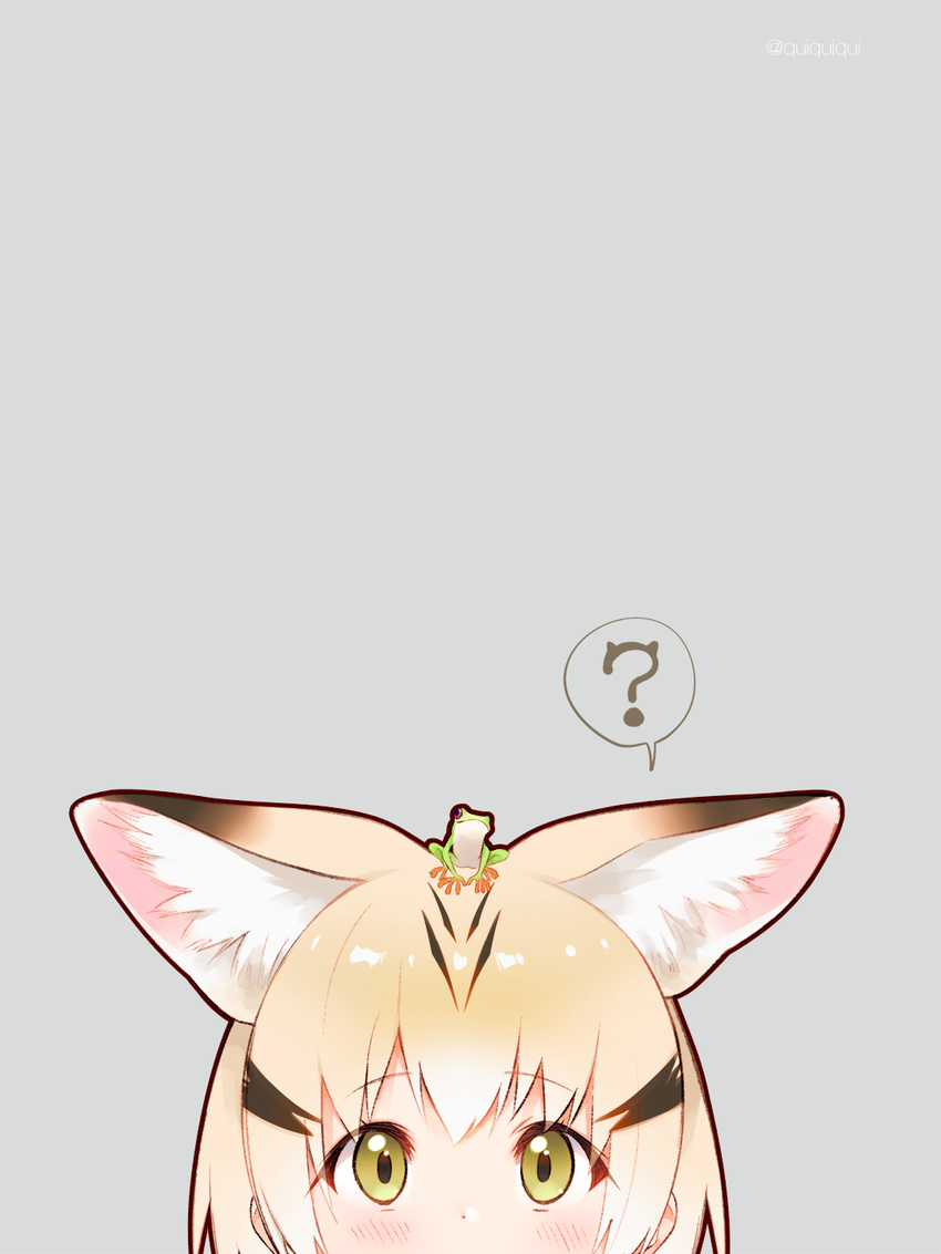 ? aihara_shouta animal_ears blonde_hair blush cat_ears eyebrows_visible_through_hair frog green_eyes grey_background highres kemono_friends looking_at_viewer on_head sand_cat_(kemono_friends) simple_background thought_bubble twitter_username