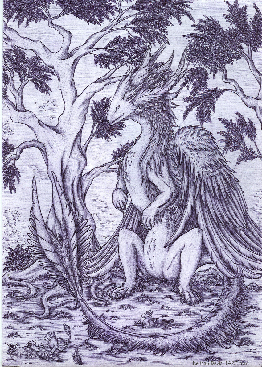 breasts detailed_sketch dragon feathered_dragon feathered_wings feathers featureless_breasts female fur furred_dragon grass group keltaan sketch smile tree wings young