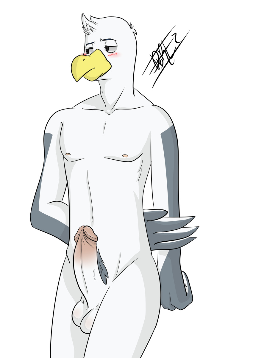 anthro avian bailey_(brogulls) balls bird erection humanoid_penis male mammal penis ryutzke_douga_(artist) seagull solo