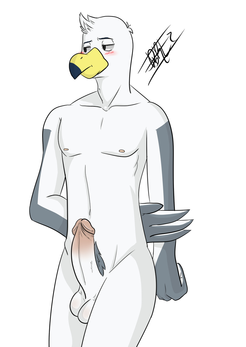 anthro avian bailey_(brogulls) balls bird erection humanoid_penis male mammal penis ryutzke_douga_(artist) seagull solo