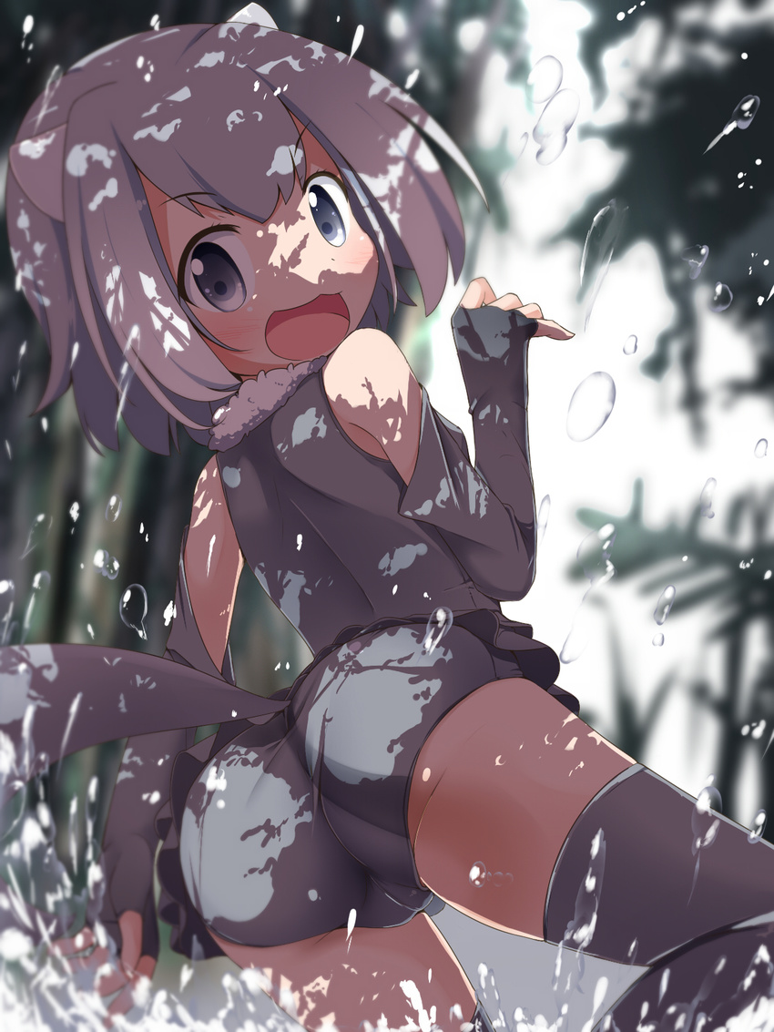 :3 :d animal_ears ass bare_shoulders blurry blurry_background commentary_request depth_of_field elbow_gloves fingerless_gloves from_behind fur_collar gloves grey_eyes grey_gloves grey_hair grey_legwear highres kemono_friends looking_at_viewer looking_back makuran open_mouth otter_ears otter_tail outdoors shade short_hair short_shorts shorts small-clawed_otter_(kemono_friends) smile solo splashing tail thighhighs v-shaped_eyebrows water water_drop