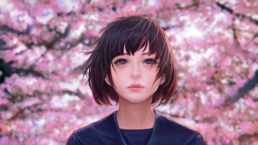 blue_sailor_collar bob_cut brown_hair cherry_blossoms closed_mouth commentary_request kakotomirai lips looking_at_viewer nose original purple_eyes sailor_collar short_hair tree upper_body