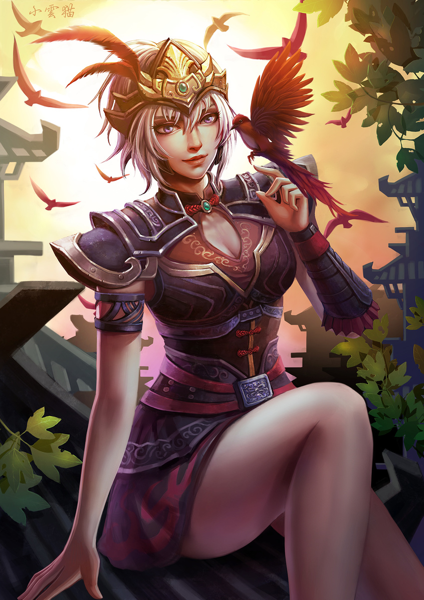 animal architecture armor backlighting bangs bare_legs bird breastplate breasts cleavage cleavage_cutout closed_mouth day east_asian_architecture emerald feathers gem grey_hair hair_between_eyes hand_up headdress helmet highres leaf lu_lingqi medium_breasts orange_sky outdoors purple_eyes red_feathers rooftop shin_sangoku_musou short_hair shoulder_armor silhouette single_vambrace sitting sky smile solo sunlight vambraces xiao_yun_mao