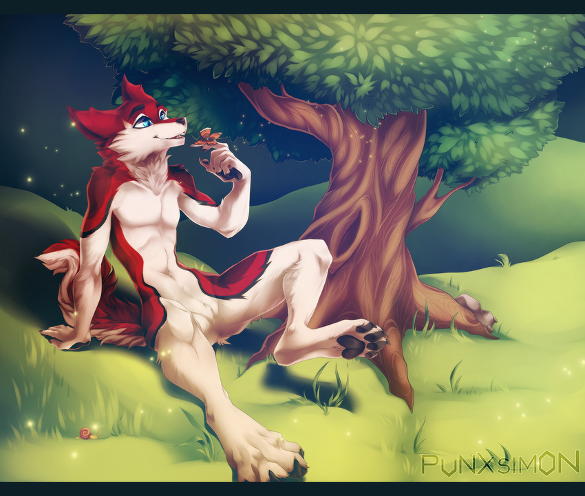 4_toes 5_fingers anthro black_nose canine day detailed_background digitigrade dog featureless_crotch fur grass husky male mammal navel nude open_mouth outside pawpads punxsimon red_fur sitting smile solo teeth toes tree white_fur