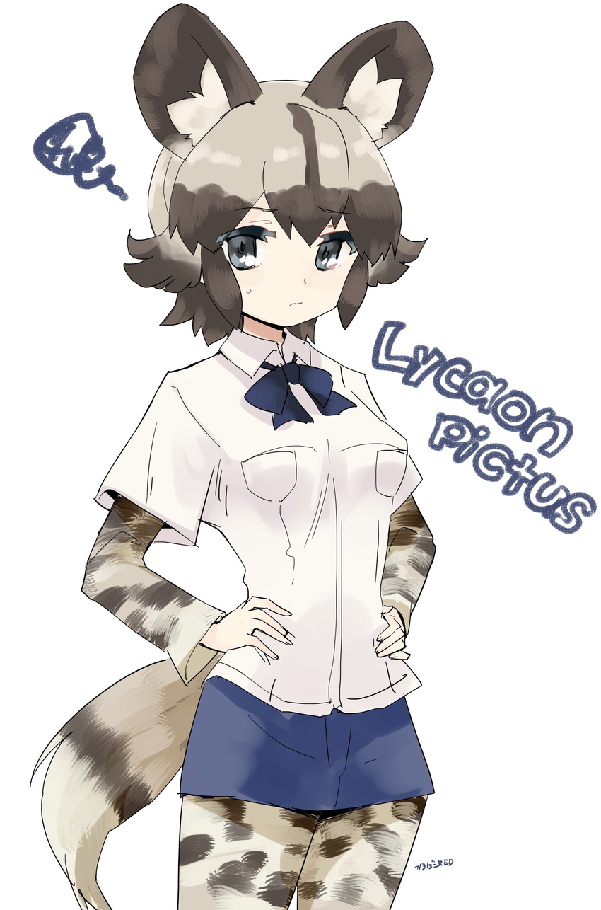 3: absurdres african_wild_dog_(kemono_friends) african_wild_dog_print animal_ears animal_print annoyed artist_name blonde_hair blue_ribbon breast_pocket brown_hair character_name closed_mouth collared_shirt commentary cowboy_shot denim denim_shorts dog_ears dog_tail eyebrows eyebrows_visible_through_hair fingernails grey_eyes hair_between_eyes hands_on_hips highres jpeg_artifacts kamaboko_red kemono_friends long_sleeves looking_at_viewer multicolored multicolored_clothes multicolored_hair multicolored_legwear neck_ribbon pocket print_legwear print_shirt ribbon scientific_name shirt short_hair short_over_long_sleeves short_shorts short_sleeves shorts signature simple_background solo squiggle sweat tail two-tone_hair wavy_mouth white_background white_shirt wing_collar
