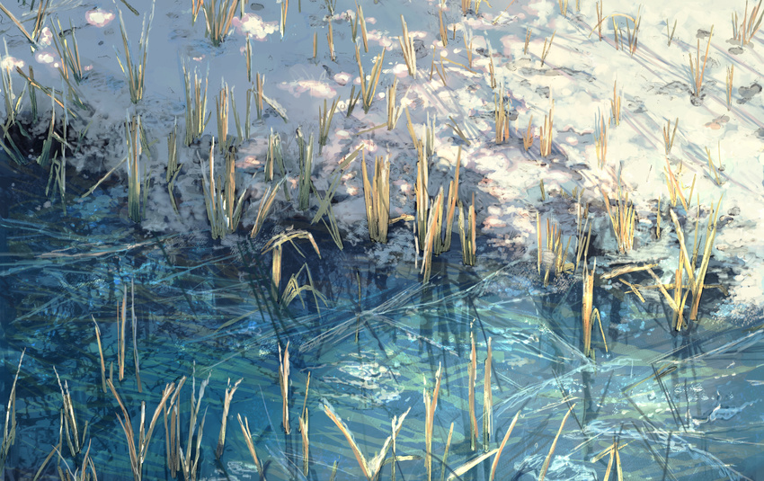 day grass no_humans original outdoors pippi_(pixiv_1922055) pond scenery sunlight water