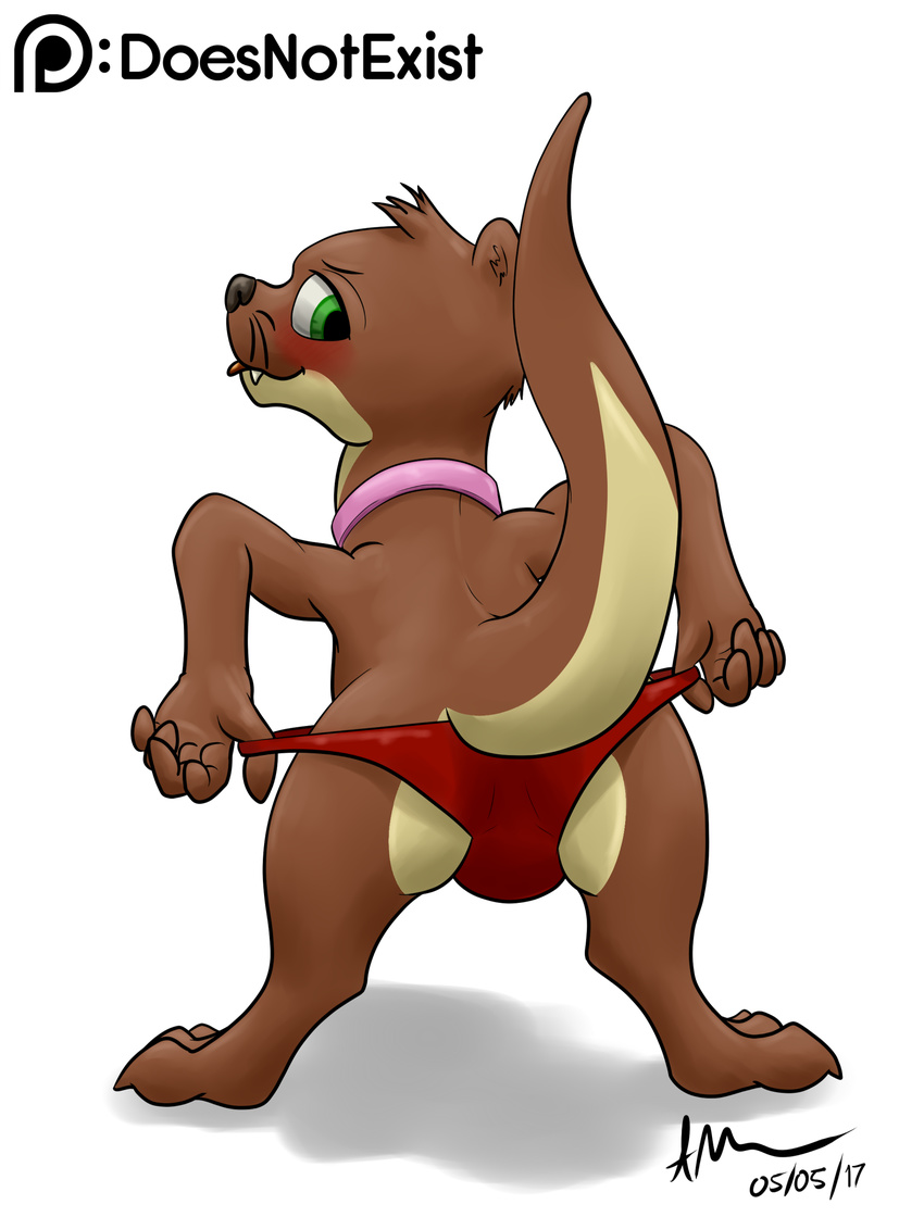 2017 anthro blush brown_fur bryce_daeless bulge clothing collar digital_media_(artwork) fangs fur green_eyes looking_back male mammal mustelid otter panties signature simple_background solo standing tan_fur theandymac tongue underwear undressing white_background