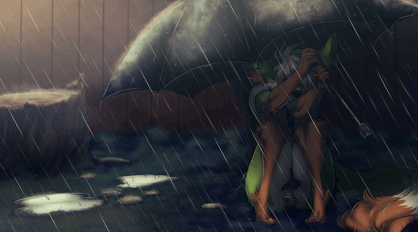 animated anthro bulge canine clothing fur hair male mammal open_mouth raining sitting solo tanks_(artist) tight_clothing umbrella