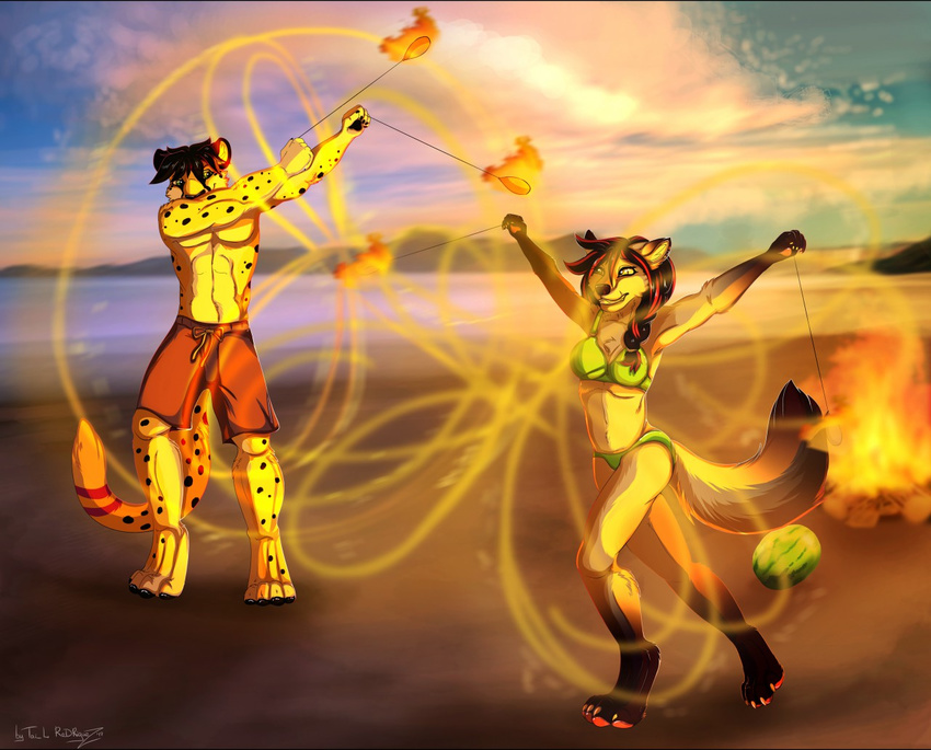 4_toes anthro bikini black_hair breasts canine cheetah clothed clothing day detailed_background digitigrade duo feline female fire fur hair male mammal navel outside red_hair shore sky smile spots spotted_fur standing swimsuit tai_lung_(artist) toes topless wide_hips wolf yellow_fur