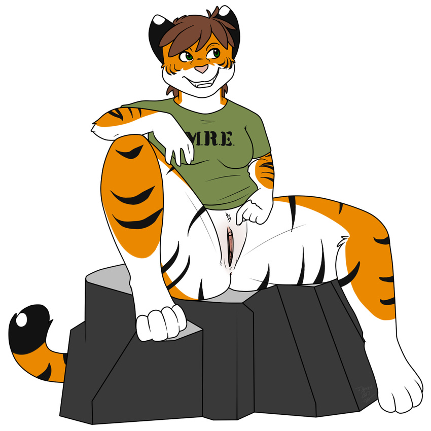 2017 anthro bottomless brown_hair clitoral_hood clitoris clothed clothing exhibitionism feline female food fur green_eyes hair hi_res looking_aside mammal mre orange_fur os pink_nose pointing pussy rock shirt sitting smile solo suggestive t-shirt tiger white_fur