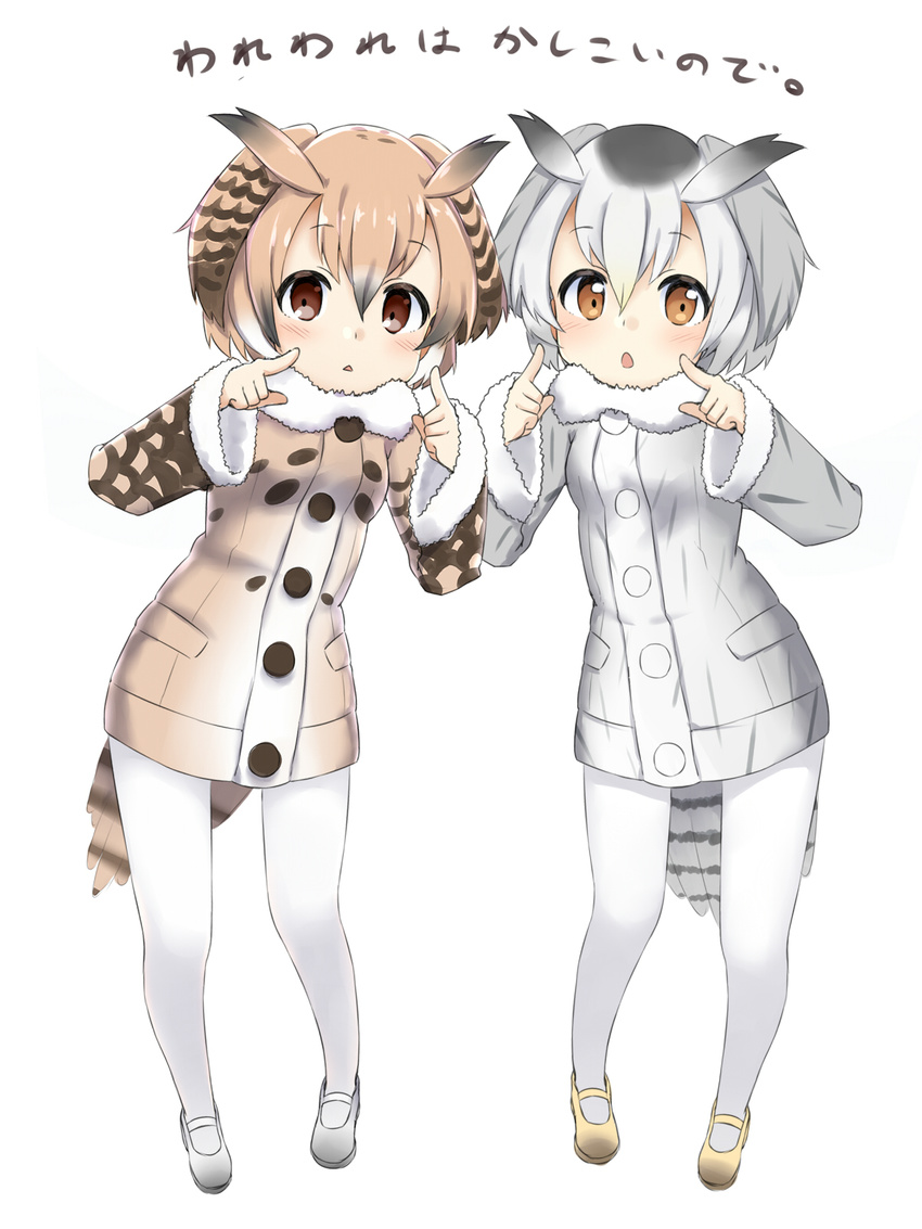 eurasian_eagle_owl kemono_friends northern_white-faced_owl sekira_ame tagme