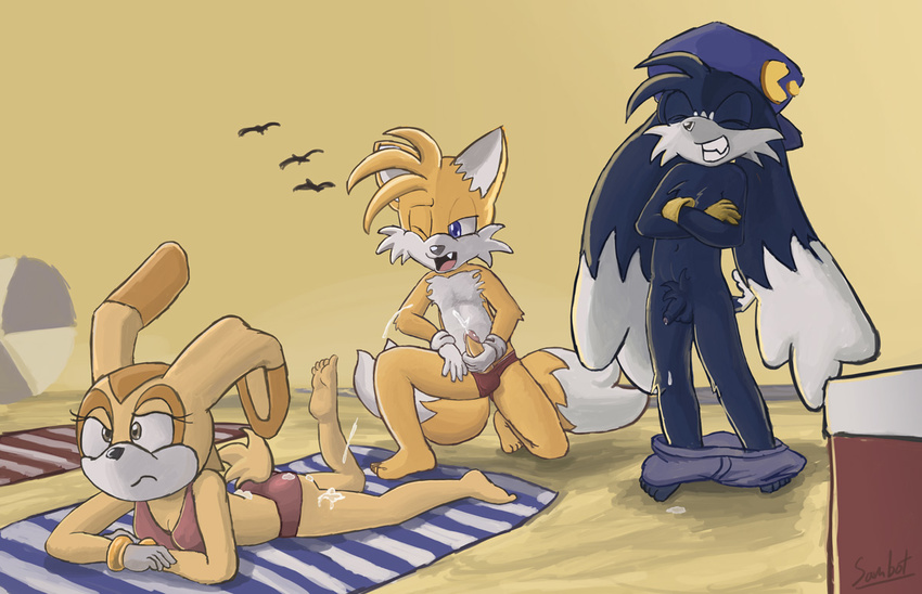 cream_the_rabbit klonoa namco sambot sonic_team tails