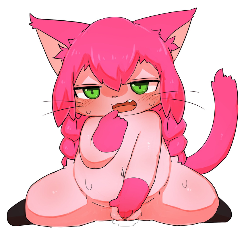 artist_request cat cat_busters furry green_eyes long_hair pink_hair pussy