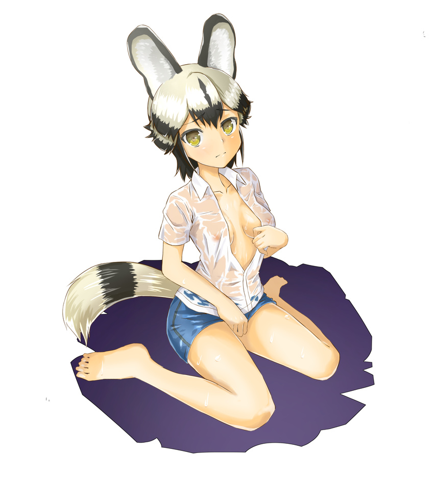 :/ african_wild_dog_(kemono_friends) animal_ears barefoot black_hair blonde_hair blue_shorts blush breasts breasts_apart brown_eyes closed_mouth collarbone collared_shirt covered_nipples dog_ears dog_tail eyebrows_visible_through_hair from_above full_body highres kemono_friends medium_breasts multicolored_hair nipples open_clothes open_shirt purin_musha see-through shirt short_shorts short_sleeves shorts sitting solo striped_tail tail two-tone_hair wariza wet wet_clothes wet_shirt white_background white_shirt wing_collar